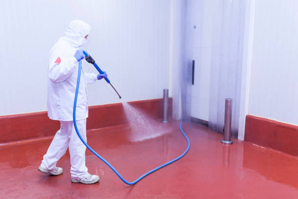 Best House Exterior Washing  in Pomona, CA