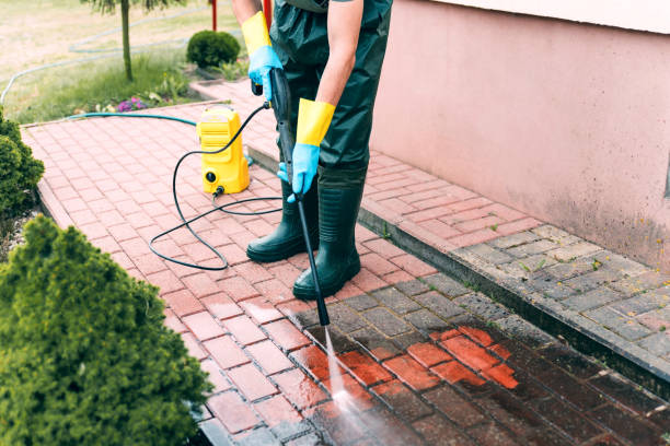 Best Solar Panel Cleaning  in Pomona, CA